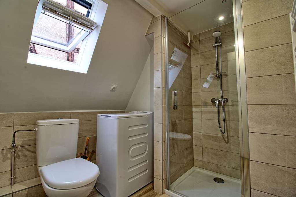Bernardswiller Logement Chez Anthone - Proche Obernai, Logement Pour 1 A 5 Personnes מראה חיצוני תמונה